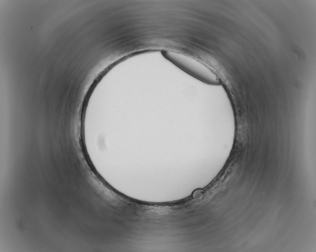 X0000111931136200909071233