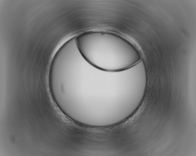 X0000111931138200909071233