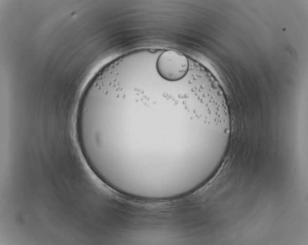 X0000111931139200909071233