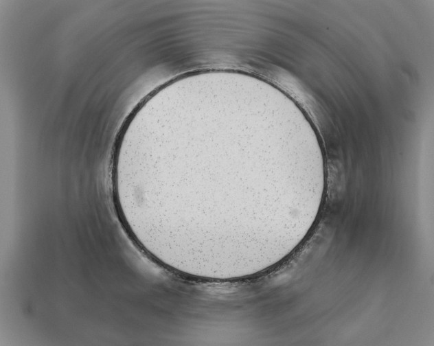 X0000111931141200909071233