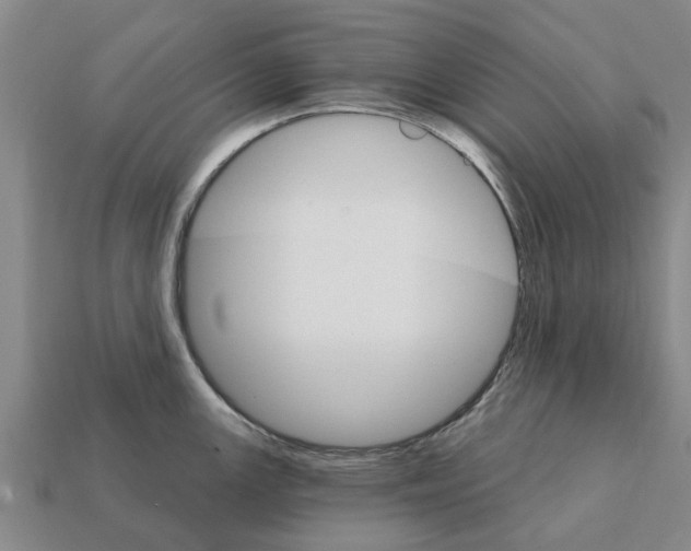 X0000111931147200909071233