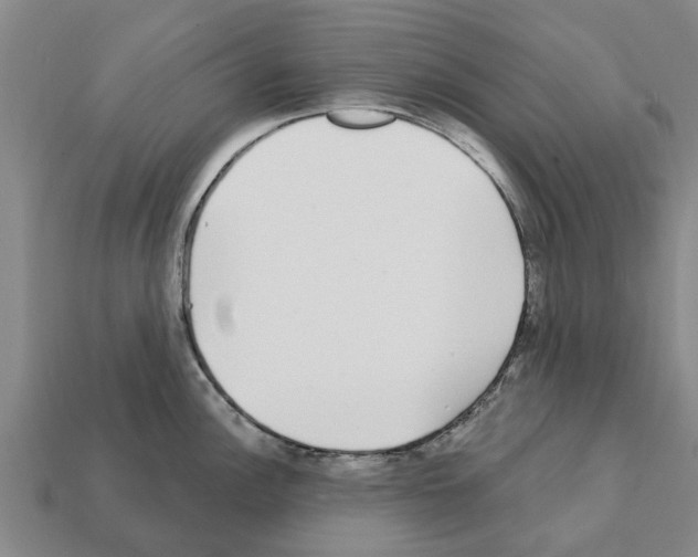 X0000111931148200909071233