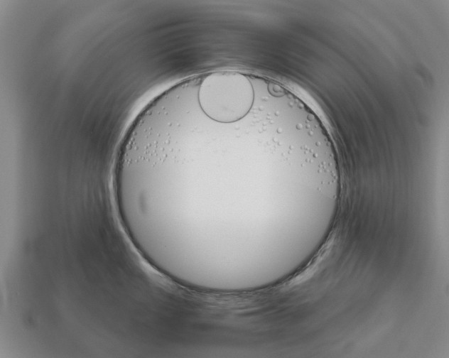 X0000111931149200909071233