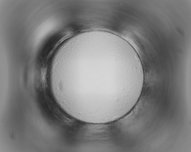 X0000111931150200909071233