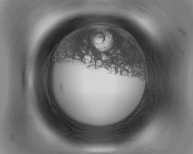 X0000111931151200909071233