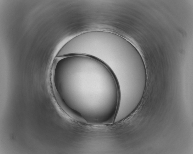 X0000111931152200909071233