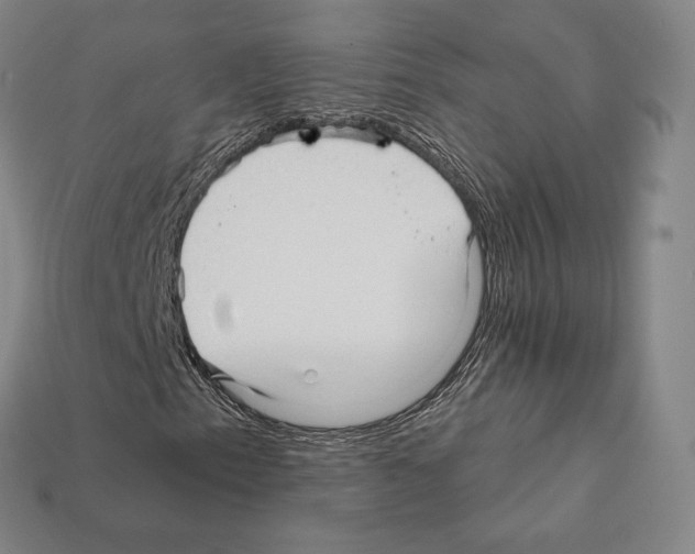 X0000111931153200909071232