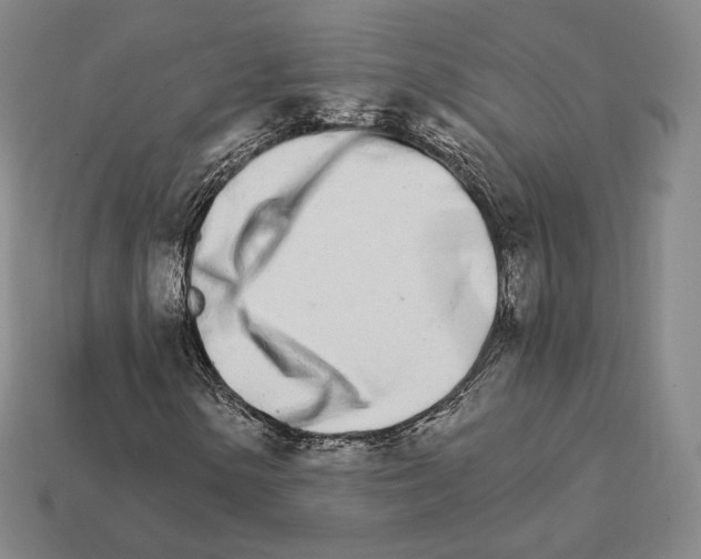 X0000111931154200909071232