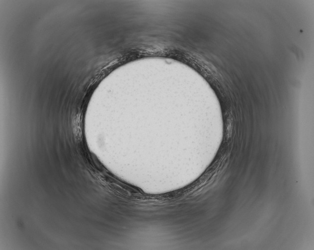 X0000111931156200909071232