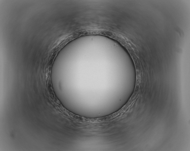 X0000111931157200909071232