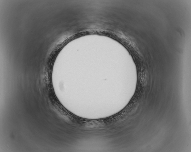 X0000111931159200909071232