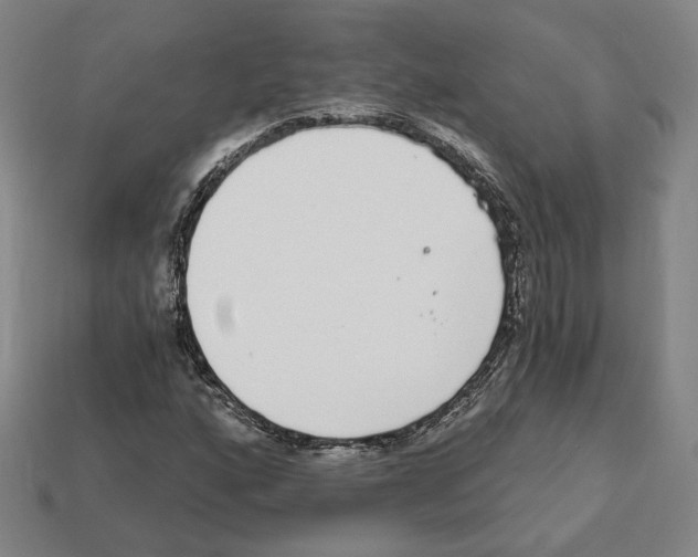 X0000111931160200909071232