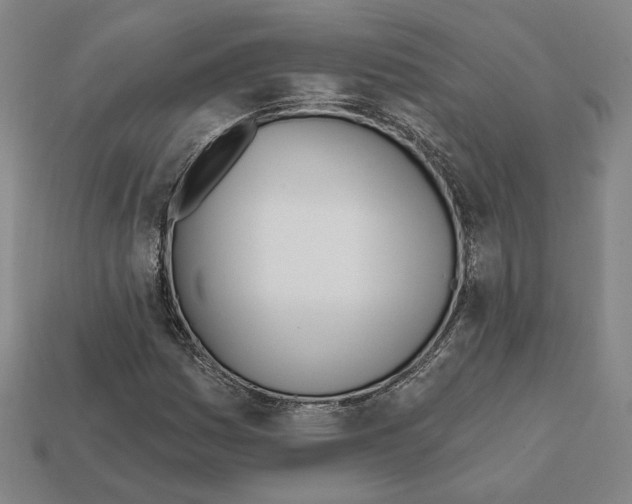 X0000111931161200909071232