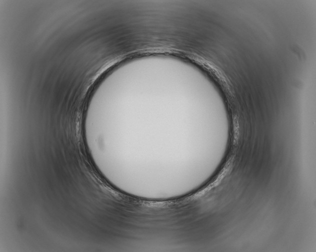 X0000111931162200909071232