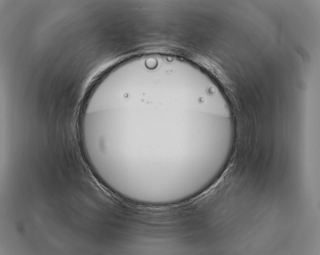 X0000111931164200909071232