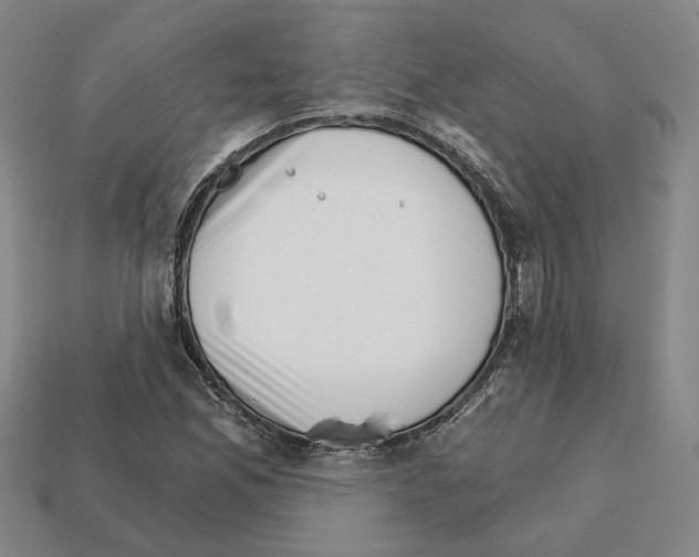 X0000111931165200909071232