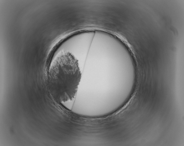 X0000111931167200909071232