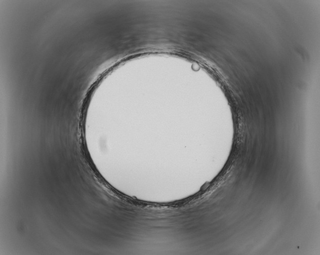 X0000111931168200909071232