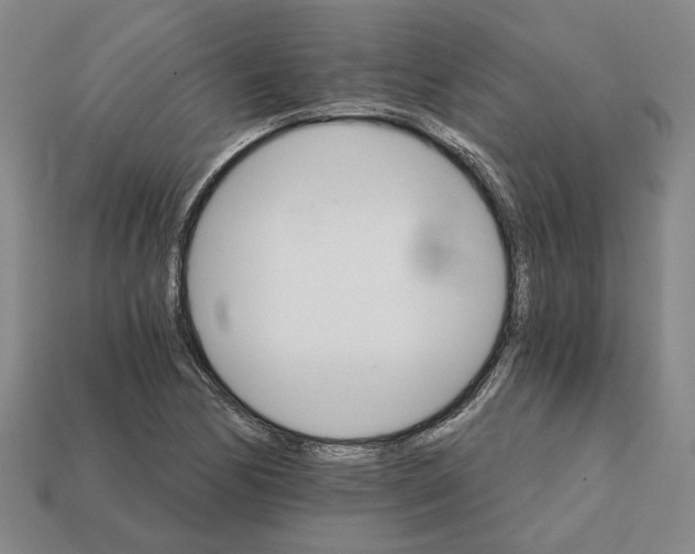 X0000111931170200909071232