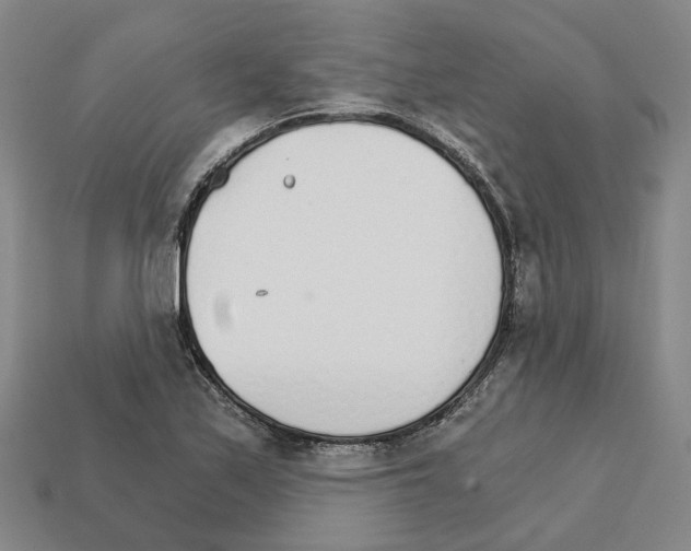 X0000111931171200909071232