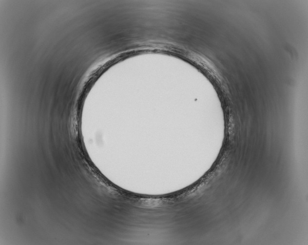 X0000111931172200909071232