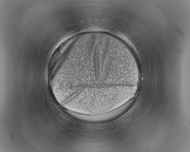 X0000111931173200909071232