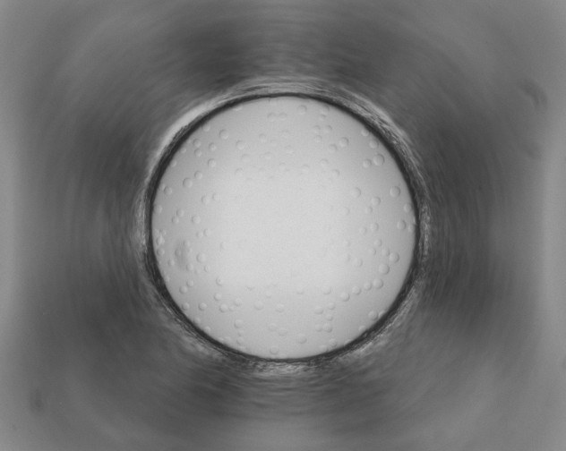 X0000111931174200909071232