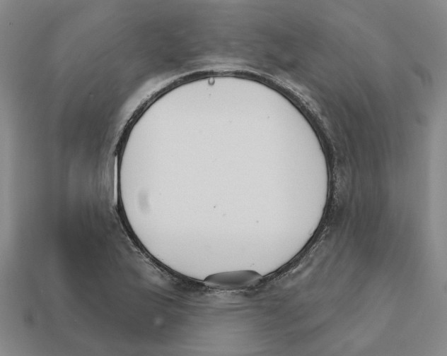 X0000111931175200909071232