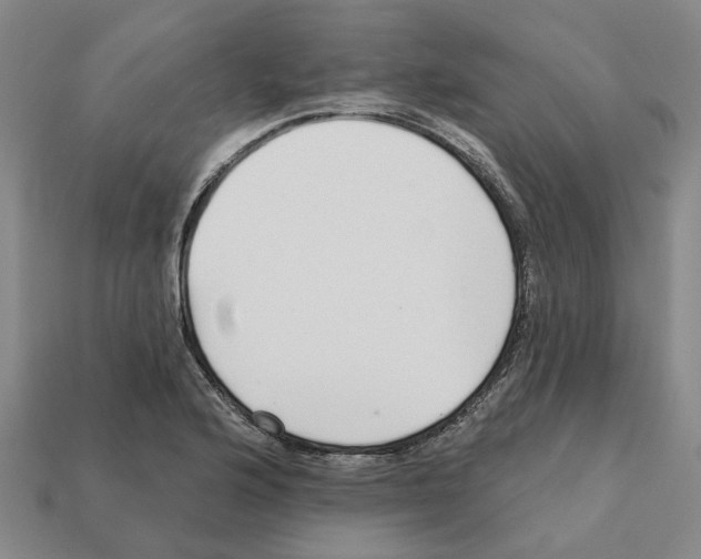 X0000111931176200909071232