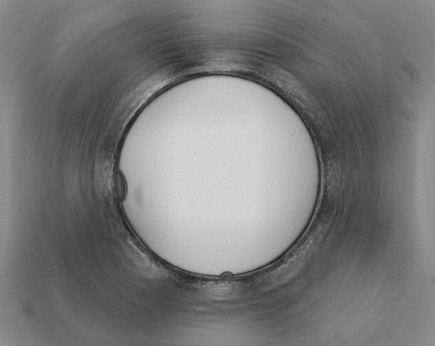 X0000111931177200909071232