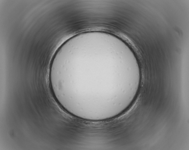 X0000111931178200909071232