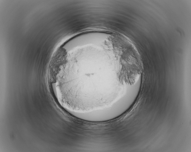 X0000111931179200909071232