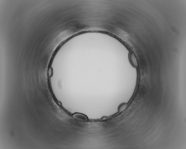 X0000111931181200909071232