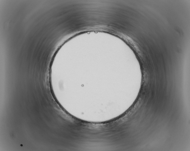 X0000111931184200909071232