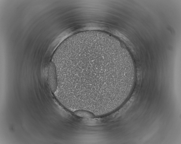 X0000111931185200909071232