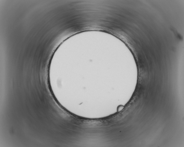 X0000111931187200909071232