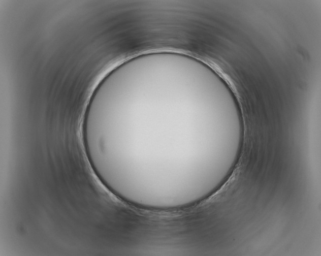 X0000111931189200909071232