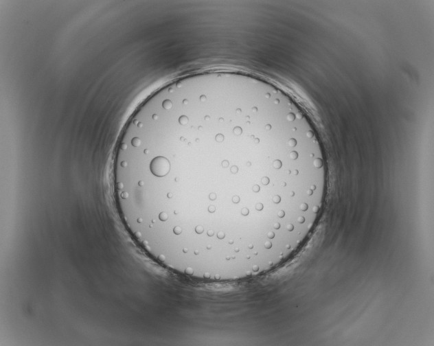 X0000111931190200909071232