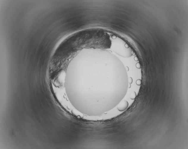 X0000111931191200909071232