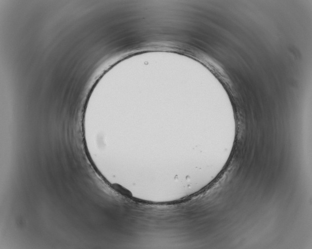 X0000111931192200909071232