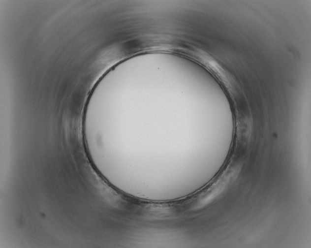 X0000111931194200909071232