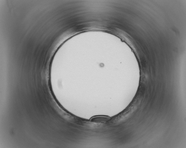 X0000111931195200909071232