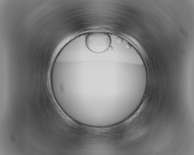 X0000111931196200909071232