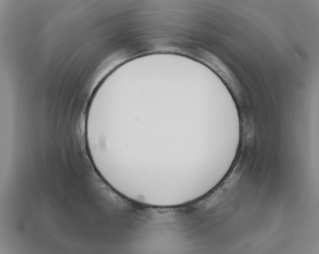 X0000111931198200909071232