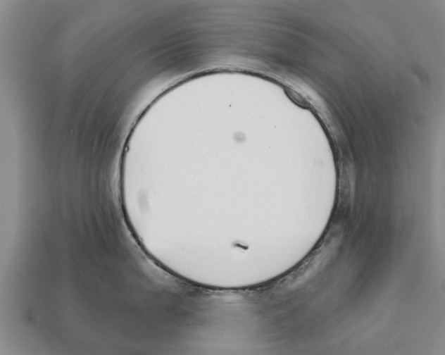 X0000111931199200909071232