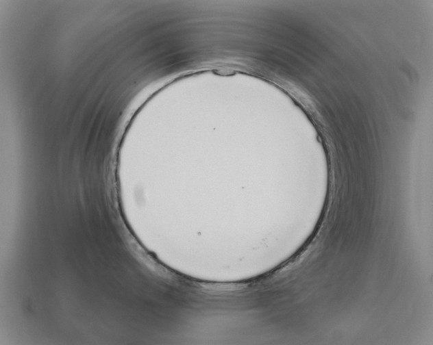 X0000111931200200909071232