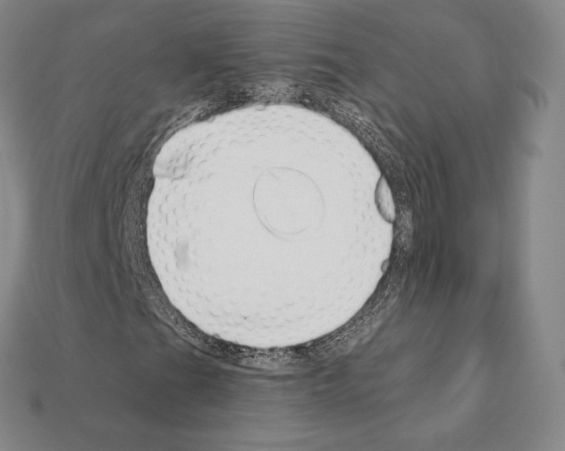 X0000111931201200909071231