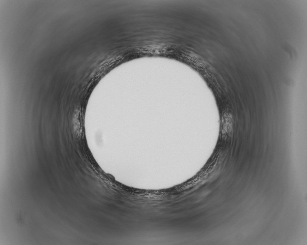 X0000111931202200909071231