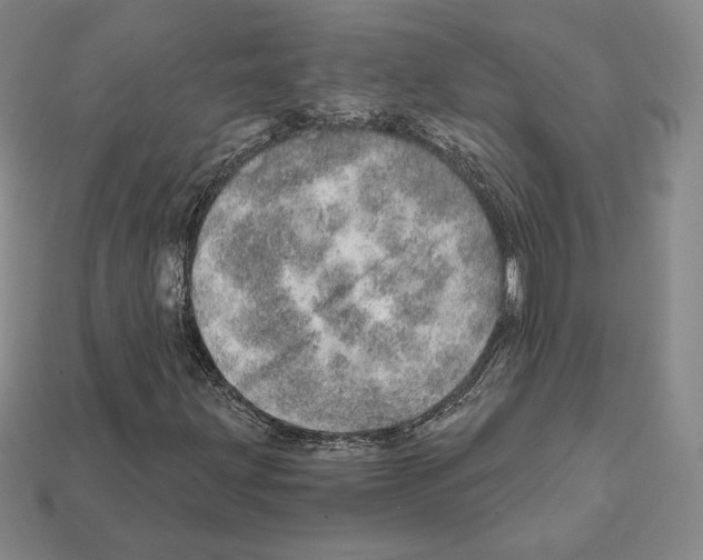 X0000111931203200909071231