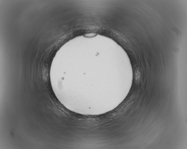 X0000111931204200909071231